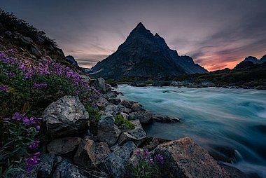 MaxiMuscle MaxiMuscle